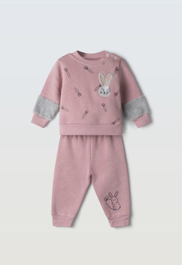 3509 Σετ Ebita 243509 σάπιο μήλο