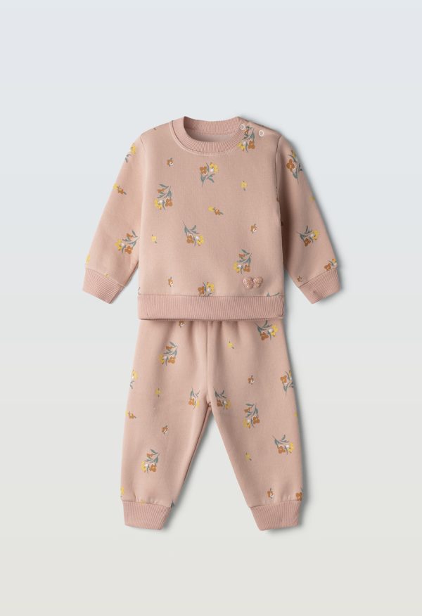 Σετ   255519 Ebita σομόν