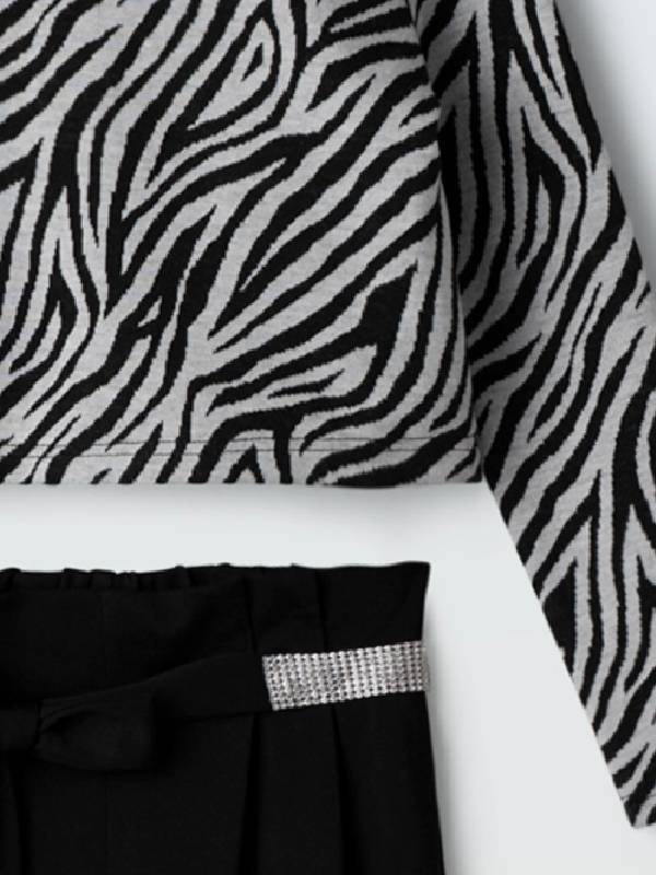 5024-3 Σετ Ebita 255024