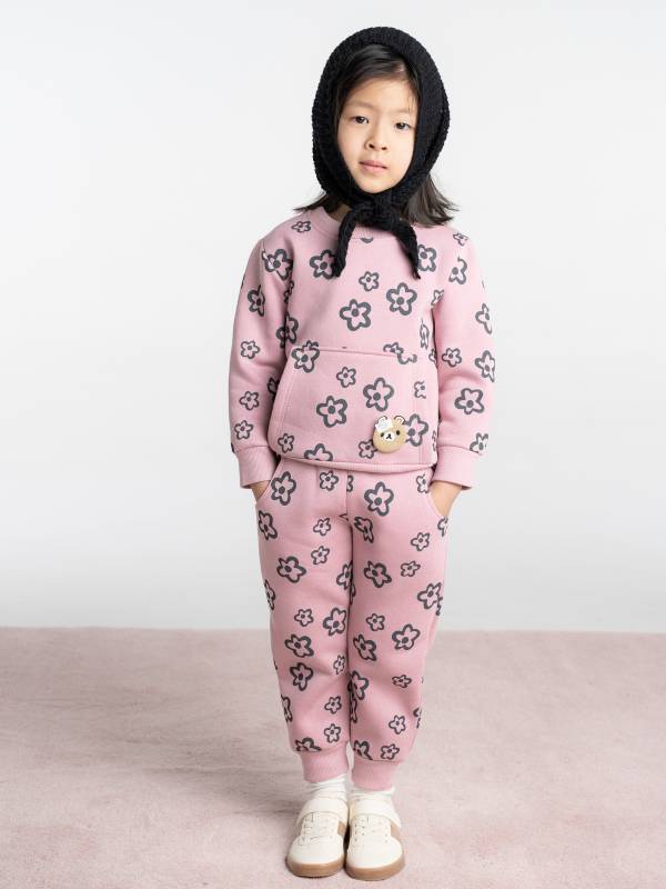 5219-1 Σετ Ebita 255219 σάπιο μήλο